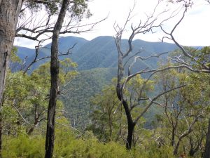 Mt Guouogang Three Peaks