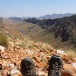 Counts Point Boots
