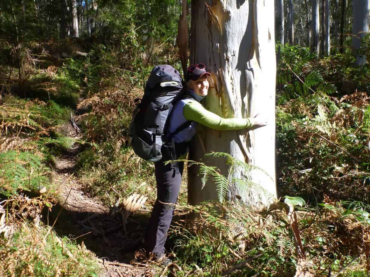 A tree hugger from way back!