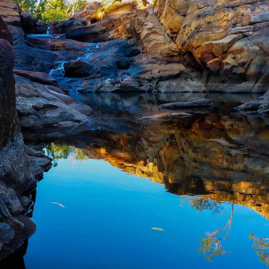 the highlight of the jatbula trail is the incredible waterhole