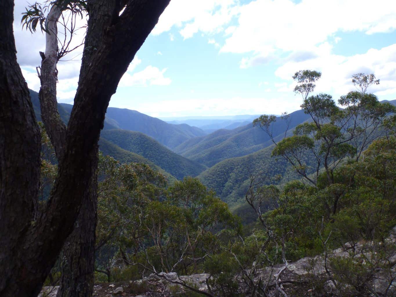 Looking down Kanangra Gorge