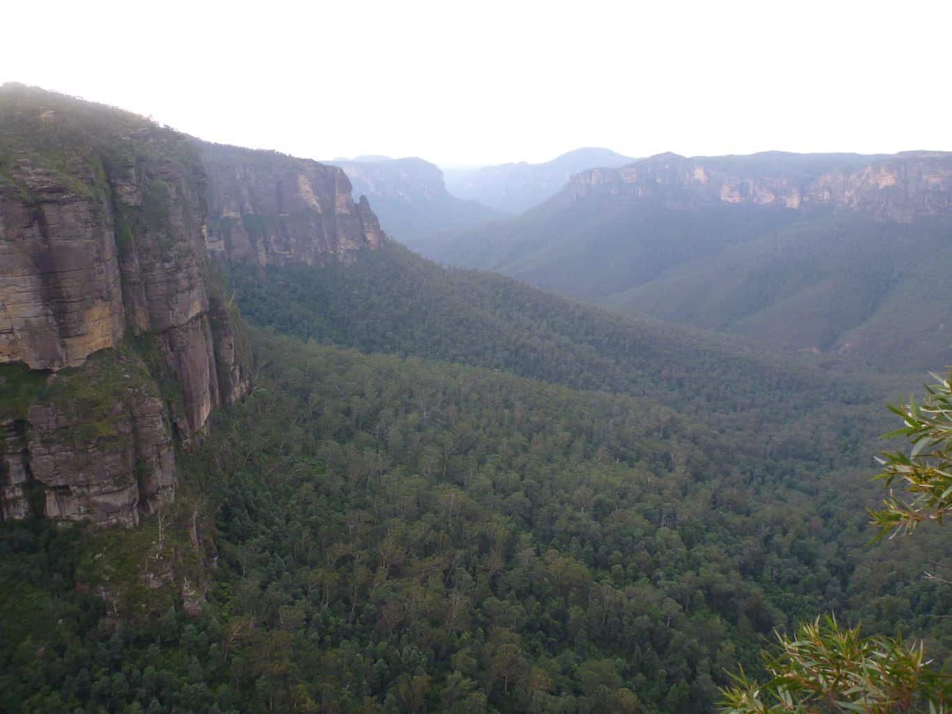 Grose Valley and it's yawning