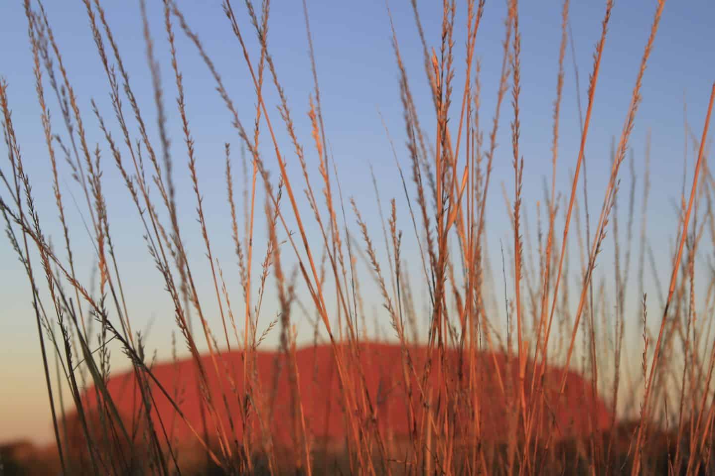 Uluru at Sunrise Australia