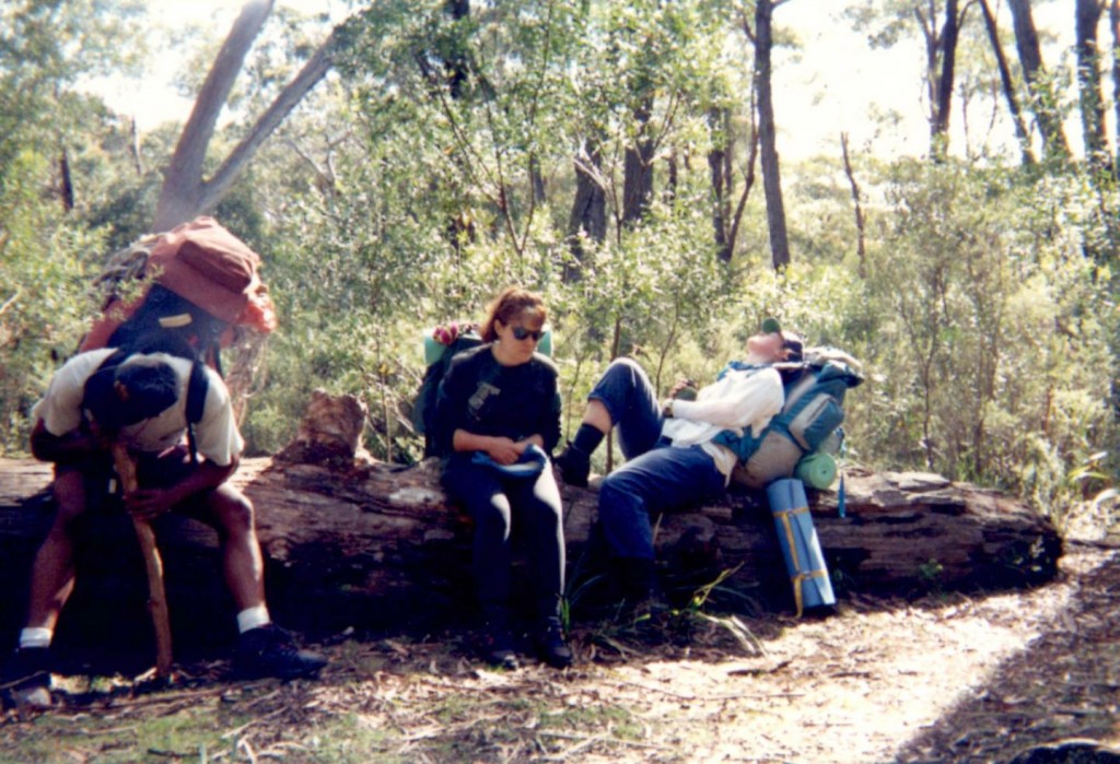 Horizontal on log