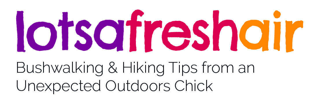 LotsaFreshAir logo