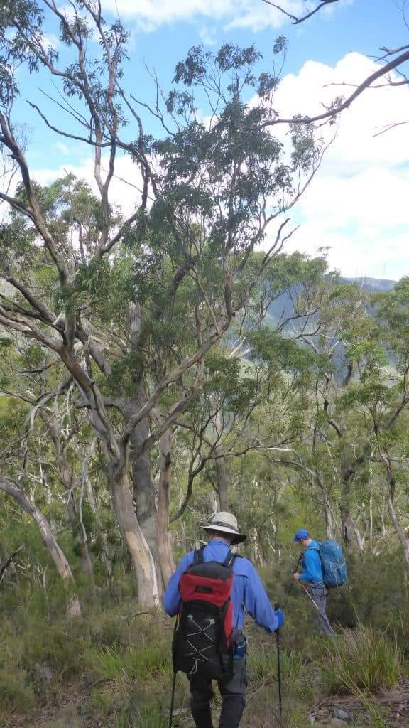 Hiking off trail