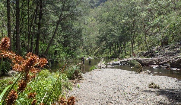 Green Gully Track