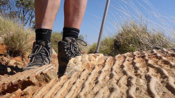 best bushwalking shoes