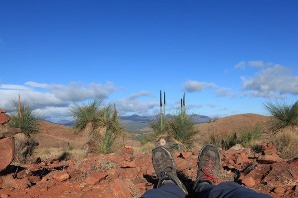 Bushwalking in the Ikara-Flinders Ranges - Lotsafreshair