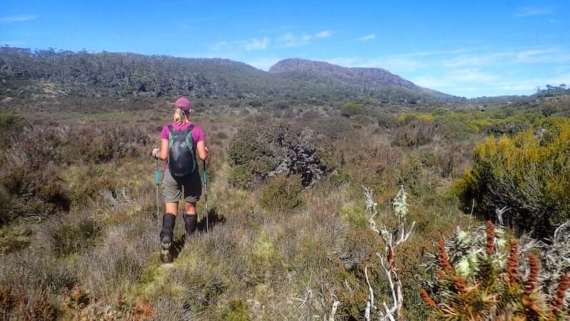 Woman hikes across Tasmanian plain with trekking poles