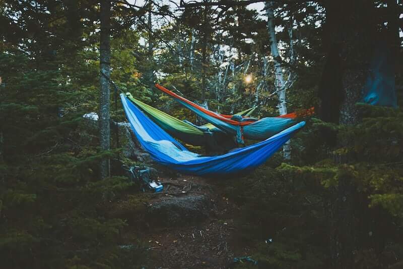 Hammock