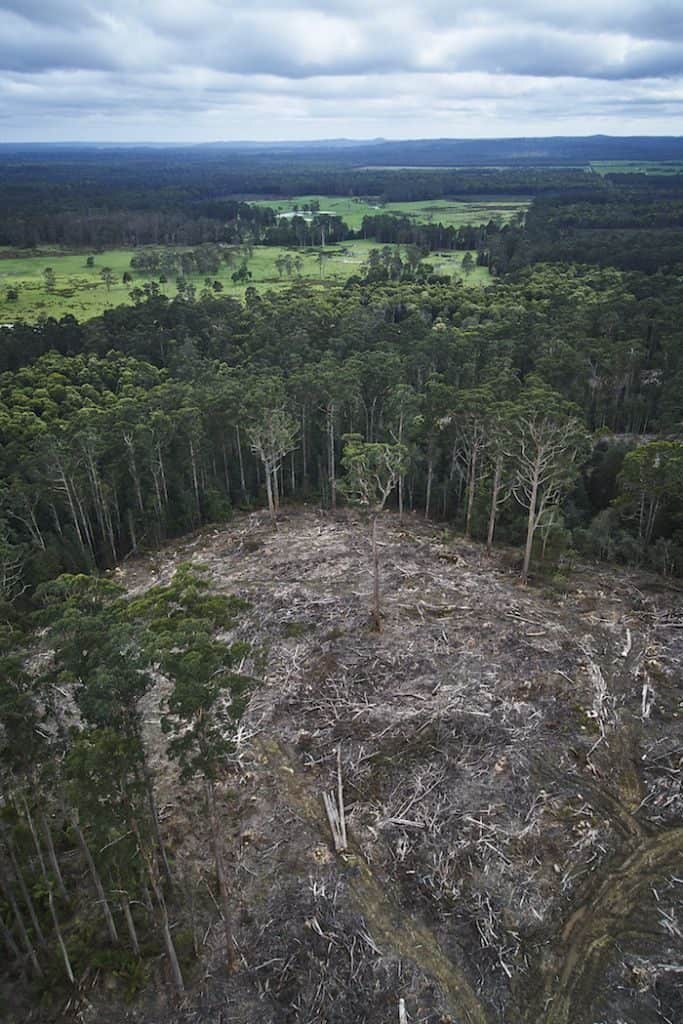 The Tarkine