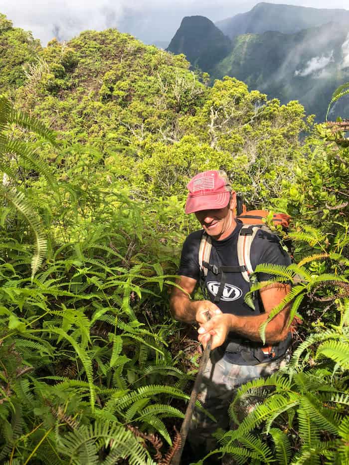 hiking in tahiti