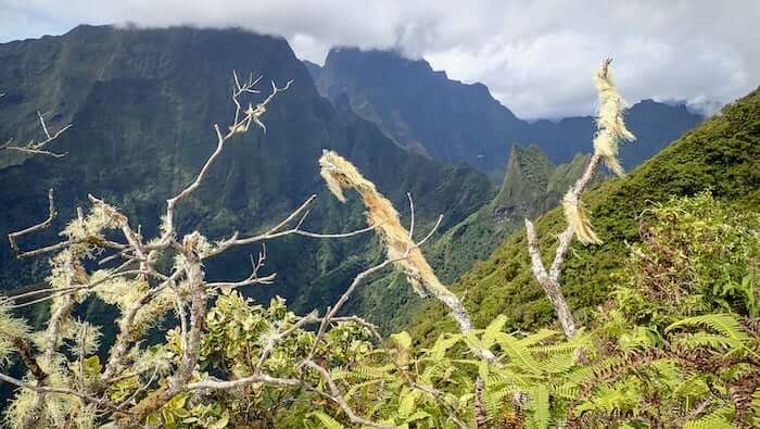 hiking in tahiti