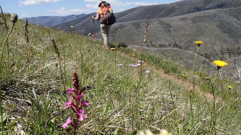 multiday hikes australia