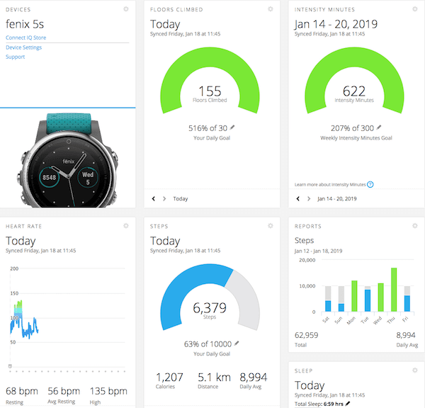 garmin fenix 5S