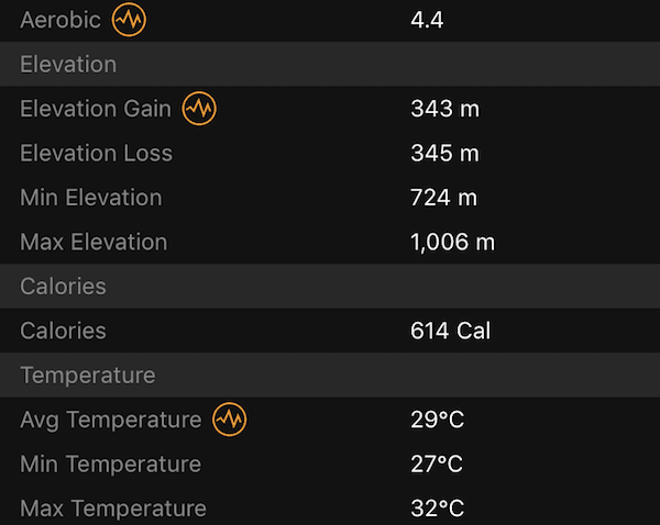 garmin fenix 5s app