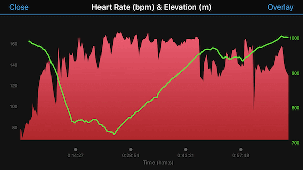 garmin fenix 5s app