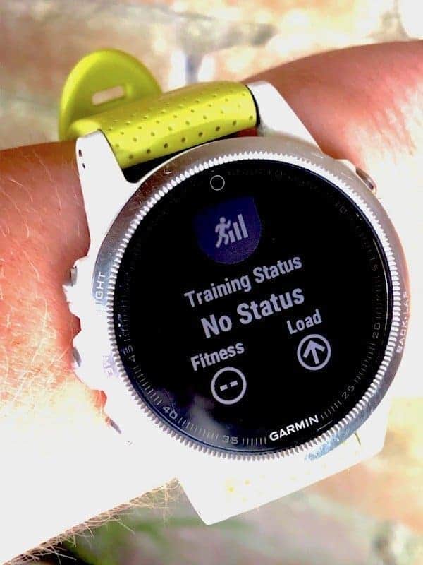 Garmin Fenix 6 visual modification : r/GarminFenix