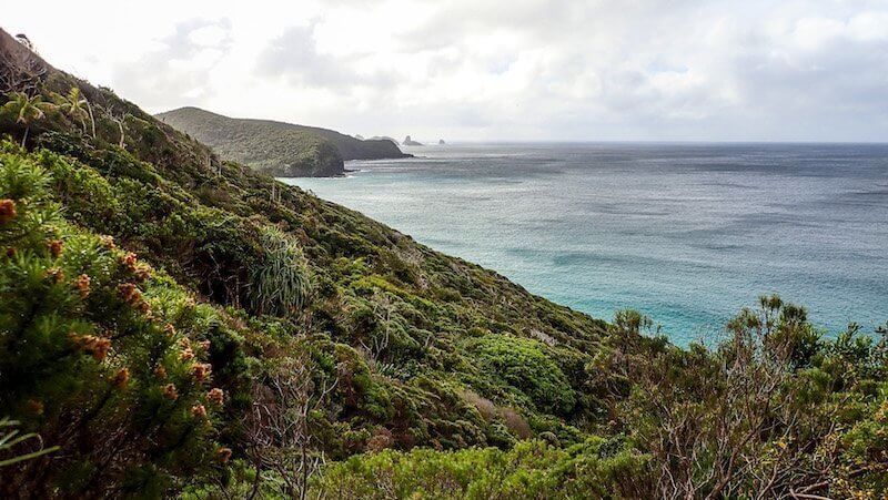 View of Mutton Bird Point from Rocky Run Track Lord Howe Island