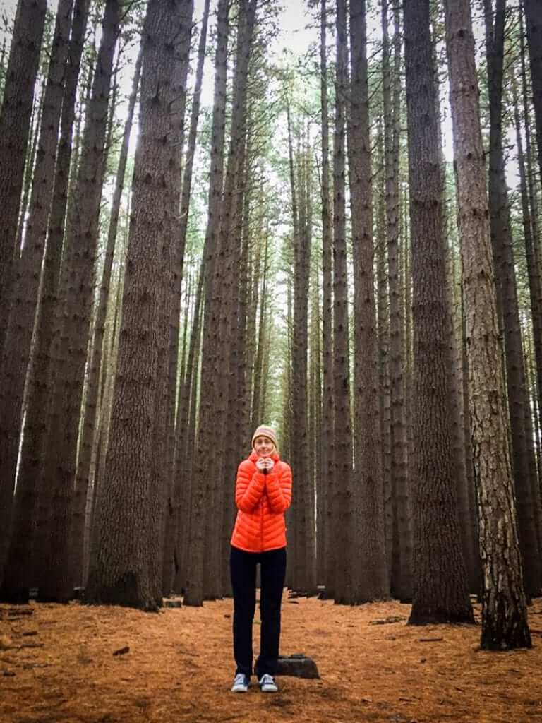woman in orange jacket in pine forest