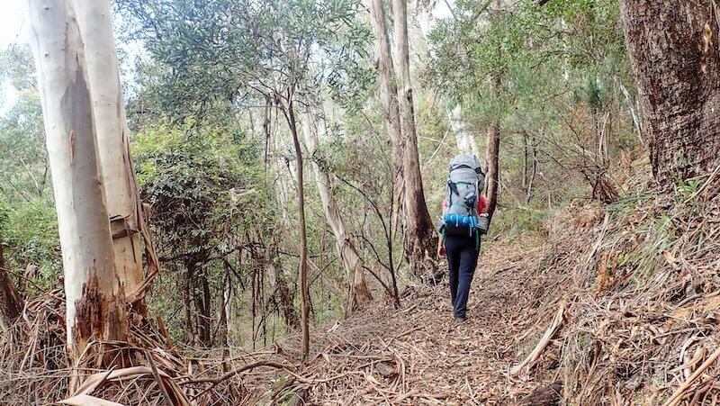 Hiker on the Hume and Hovell Track