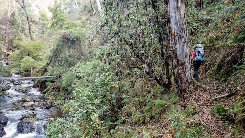 Buddong Creek Hume and Hovell Track