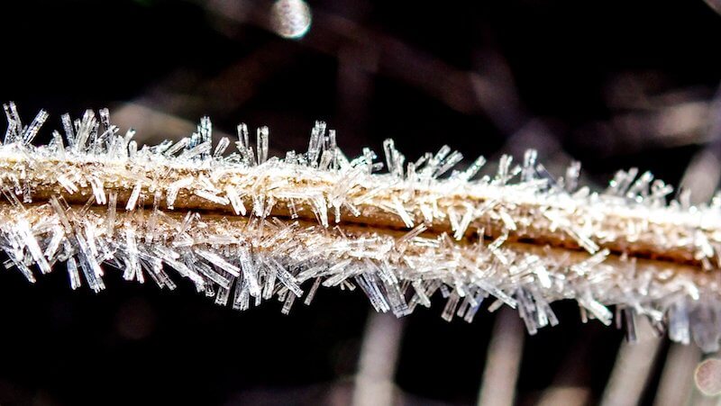 Ice crystals on native grass australia