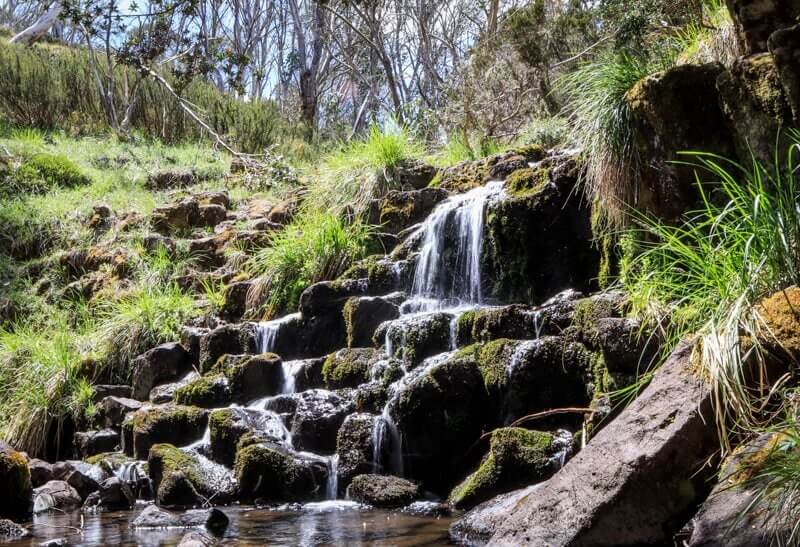 Carmichael Falls, Dinner Plain