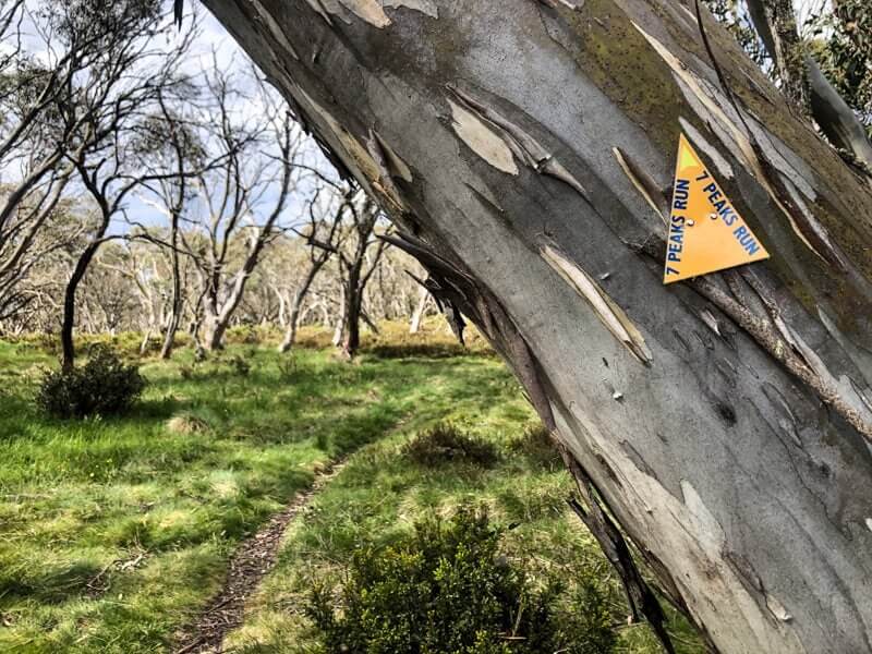 Dead Timber Hill Trail