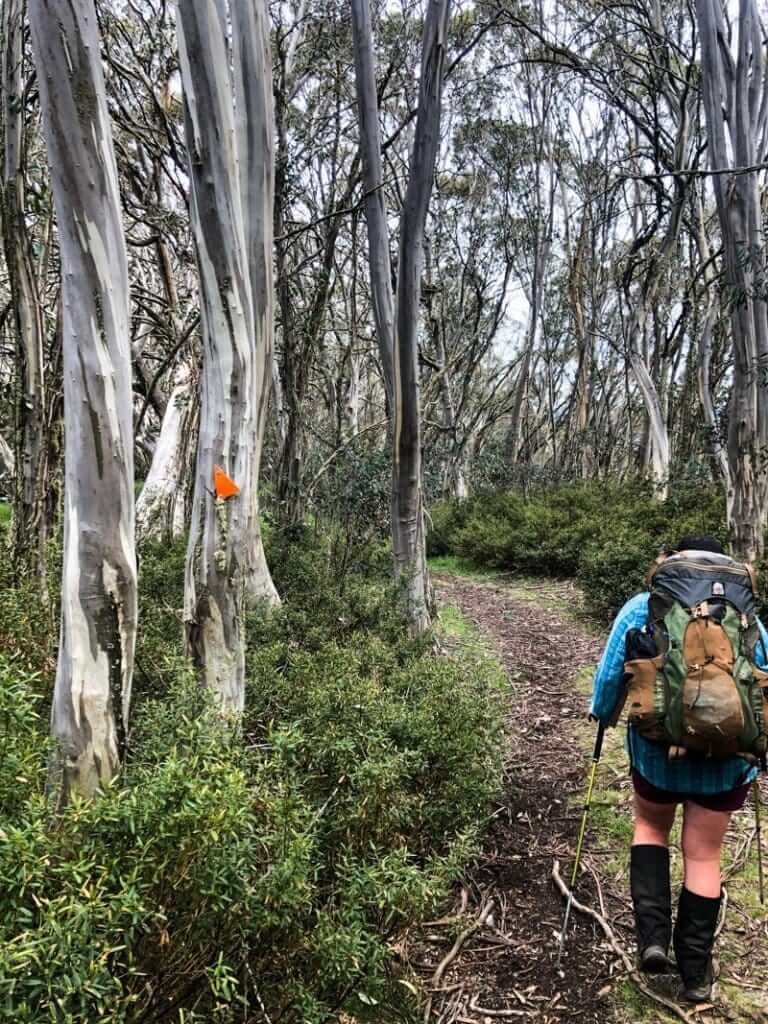 Mt Stirling via Delatite River