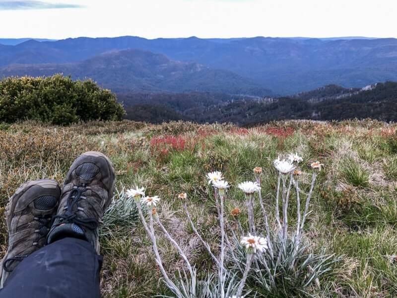 Mt Stirling