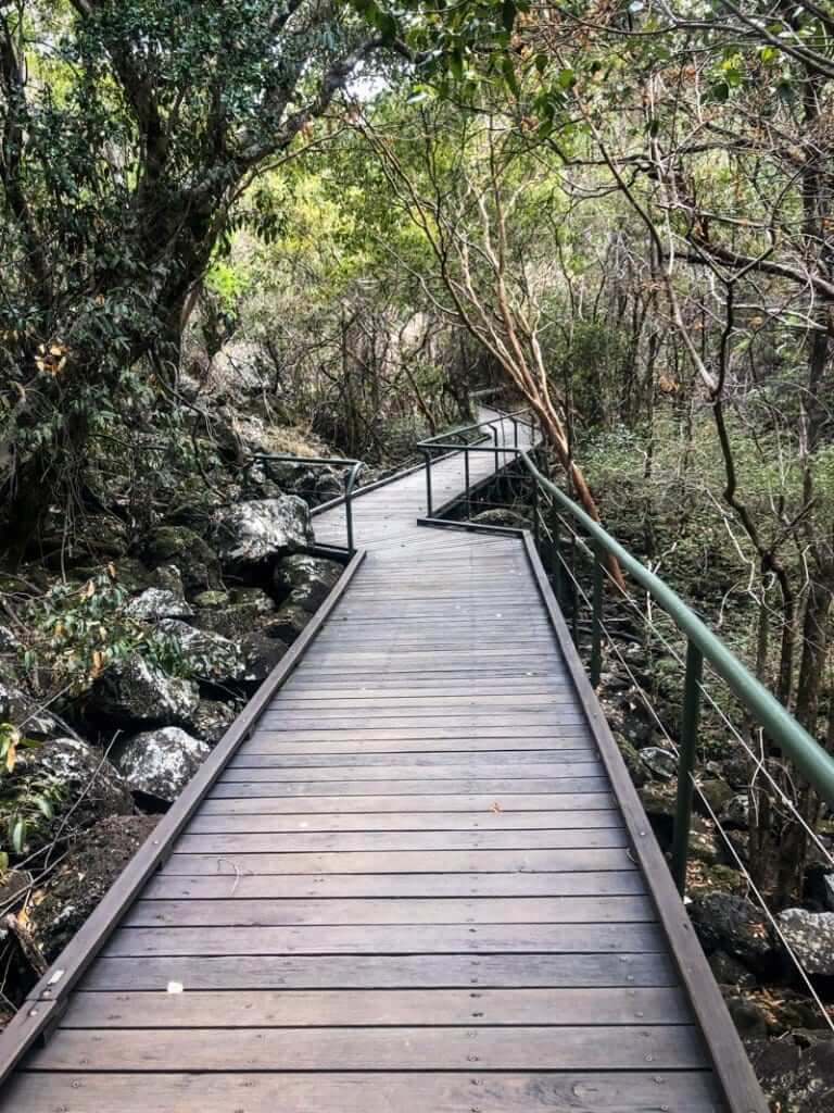 Undara Lava Tubes