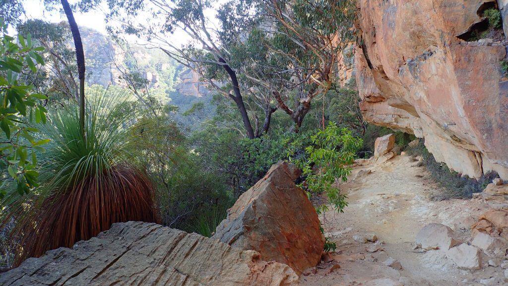 hiking trail beside sandstone cliff
