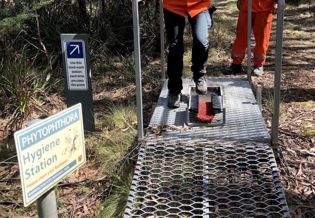 hiking boot cleaning station