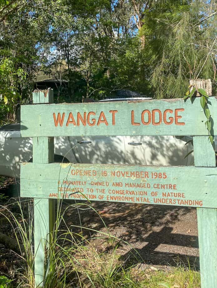 merrell bravada bungee