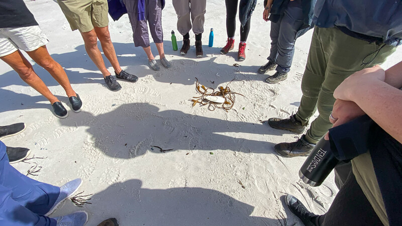 teaching circle wukalina walk tasmania palawa