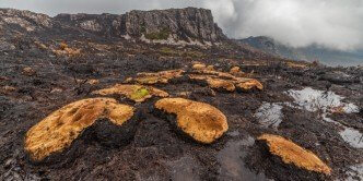 ClosedAreas_LotsaFreshAir-0005-2