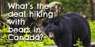 Facebook Video Bears Thumbnail