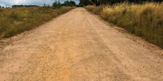 Animals can appear from 'nowhere'.