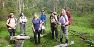 Three Peaks Whalania Creek Campsite