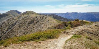 Razorback_LotsaFreshAir-0004