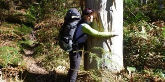 A tree hugger from way back!